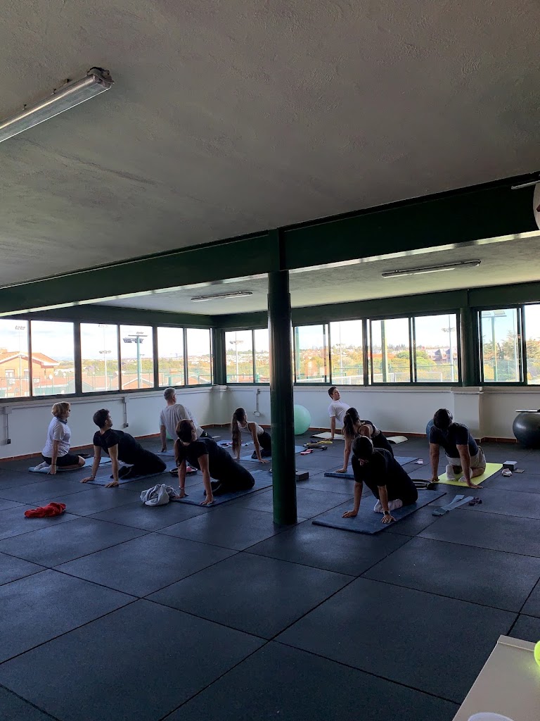My Pilates Las Rozas — Yoga