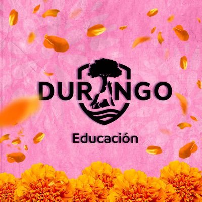 DIRECCION MUNICIPAL DE EDUCACION