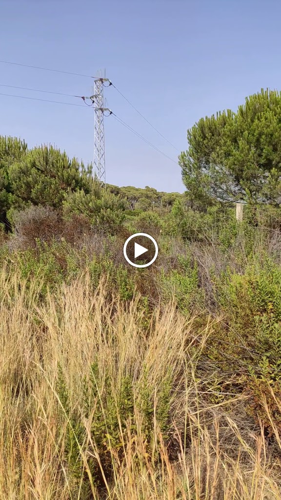 E. S. Perez Rodriguez S.L.