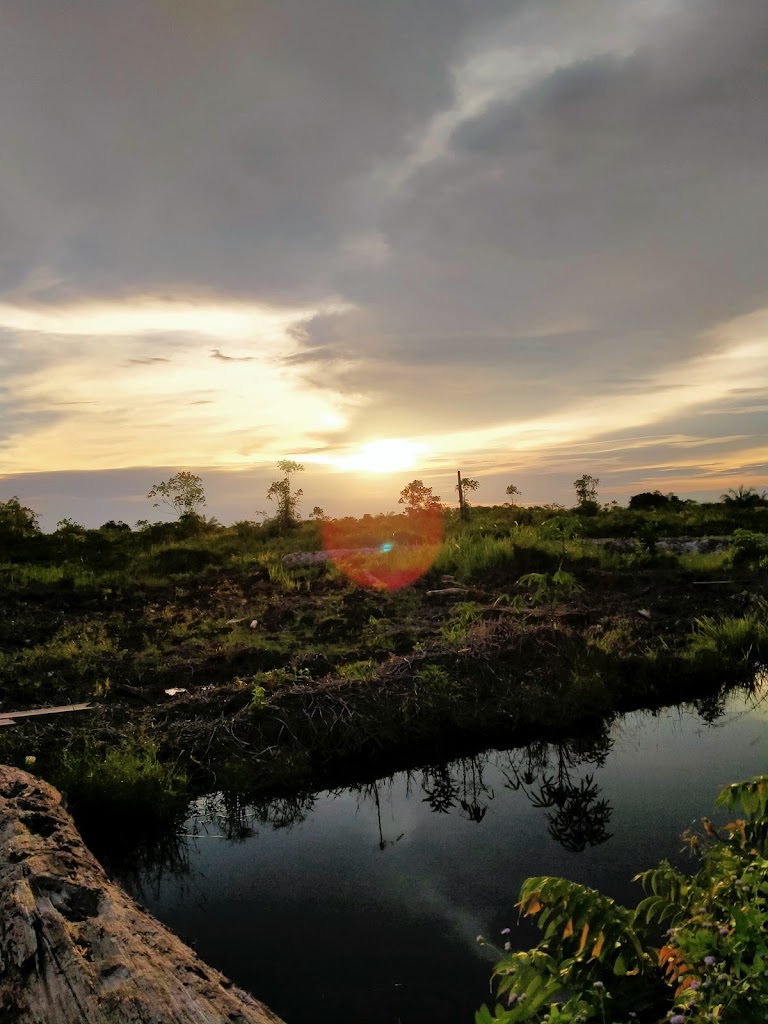 Bengkel gondo