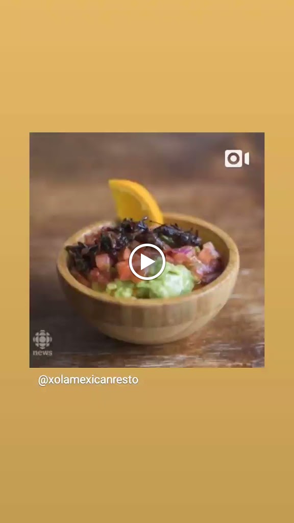 Videos