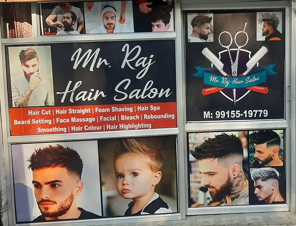 Mr Raj Hair Dresser Salon Parlour