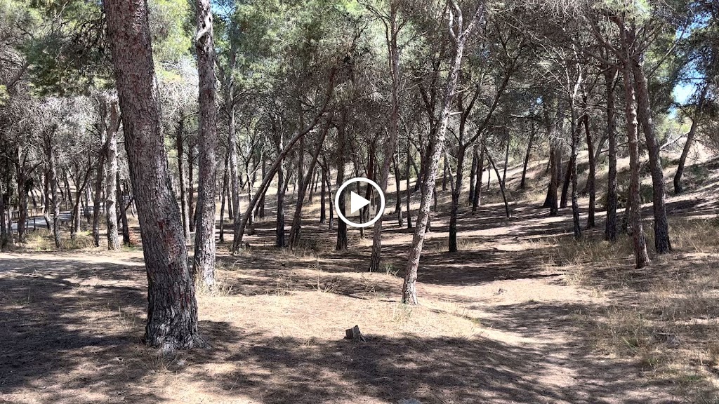 Dunas de Guardamar — Videos