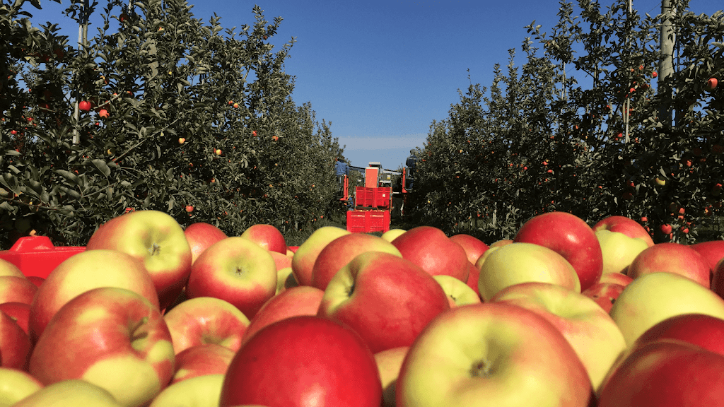 Farm equipment supplier in Conway