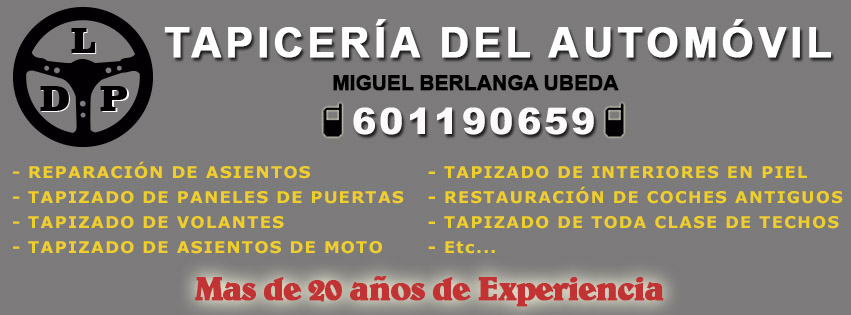 Tapiceria del Automovil LDP