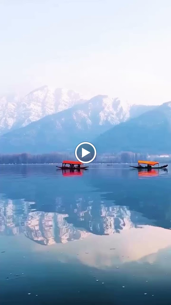 Videos