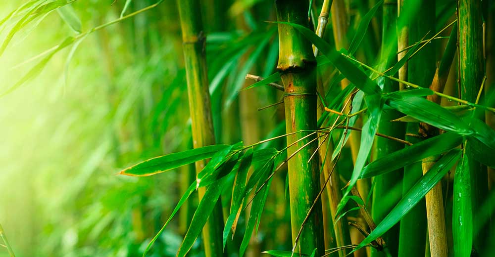 Face Fair Ladies Beauty Parlour And Spa