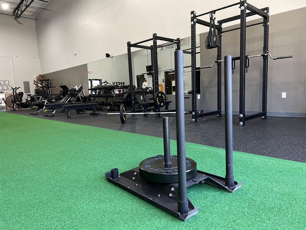  Momentum Performance