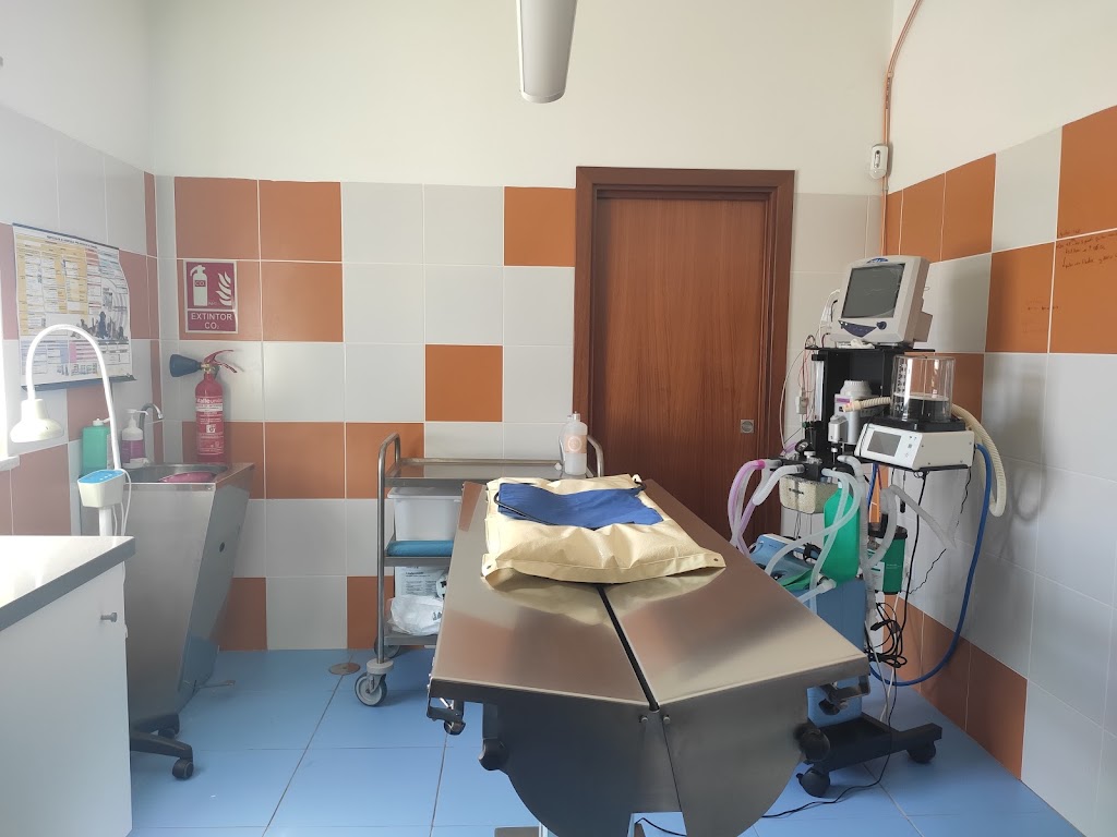Clinica Veterinaria DeLi — Del propietario