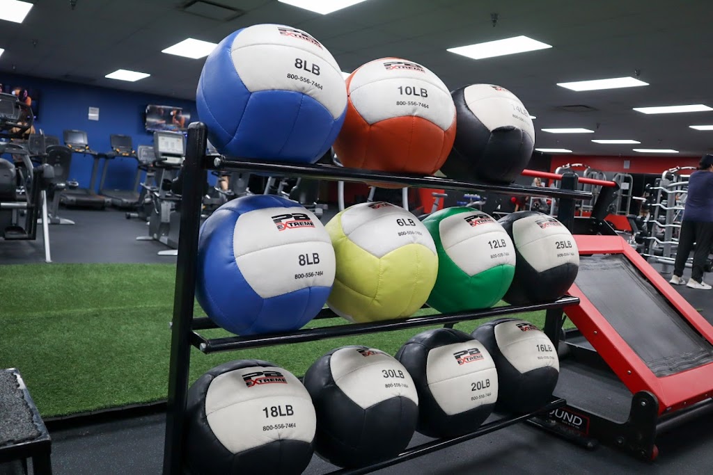  Body Evolution South