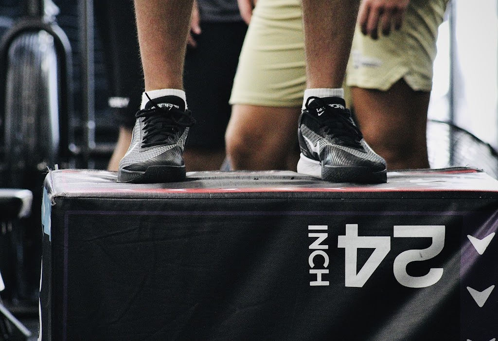  Force Performance and Fitness