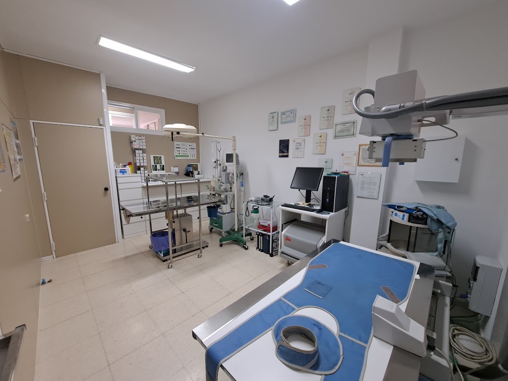 Centro Veterinario Eduna — Del propietario