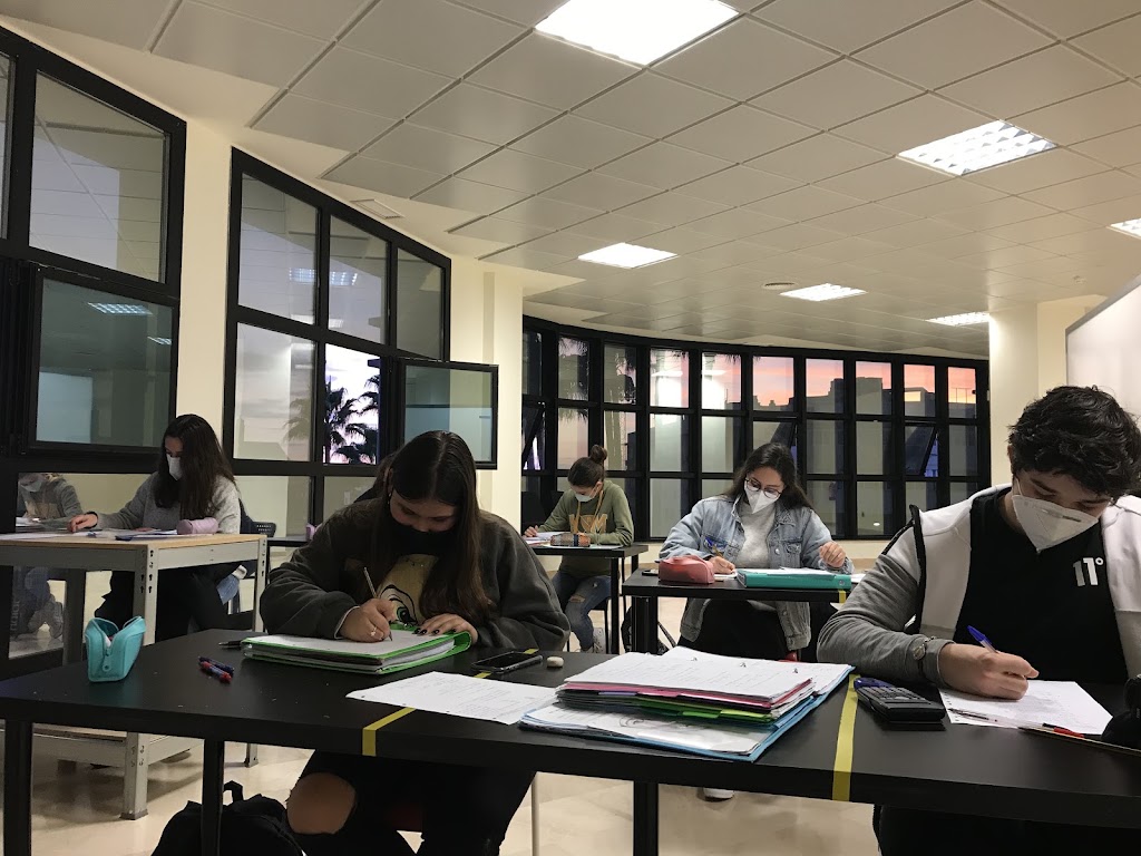 Academia D cuadrado — Estudiante
