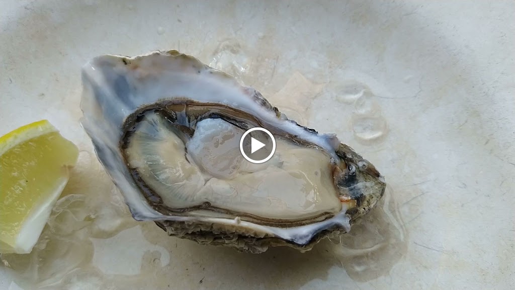 La Mar — Videos