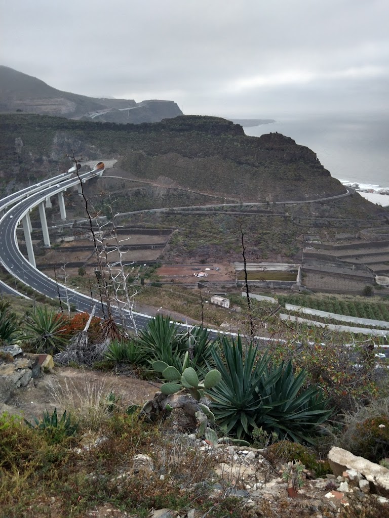 AUTOS SERVICIO MAG-JU SL