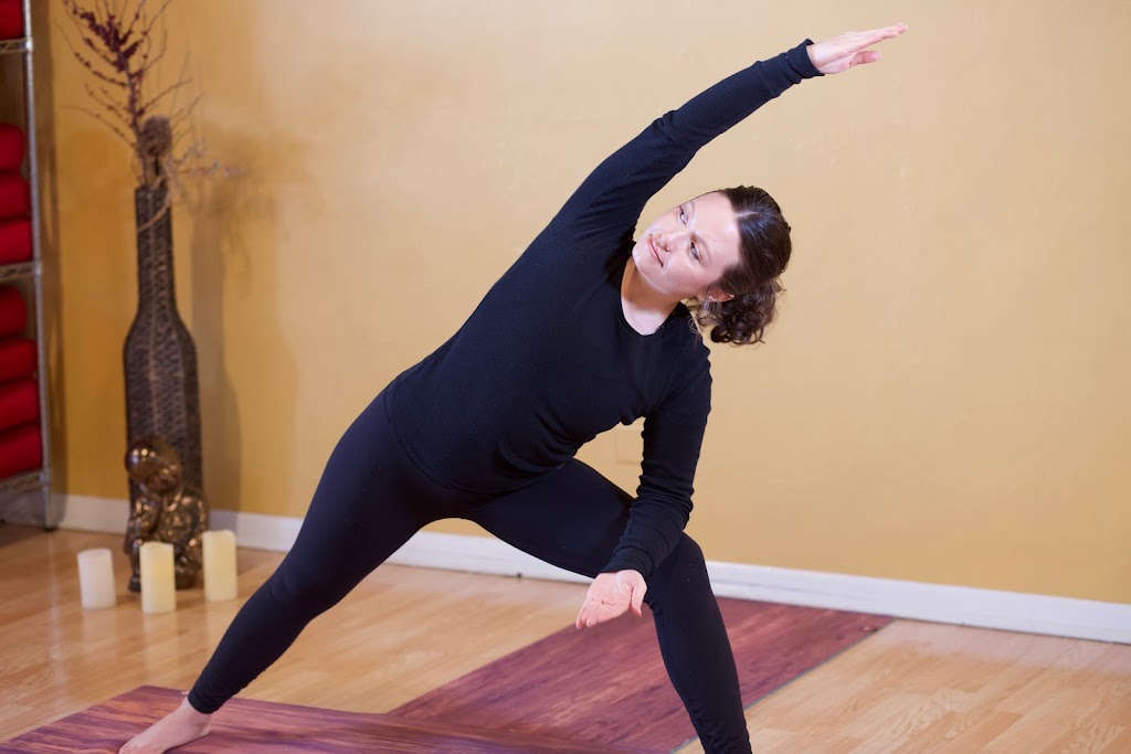  Ahimsa Yoga Studio Oak Park