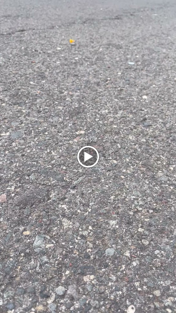 VoltenCar Las Americas — Videos