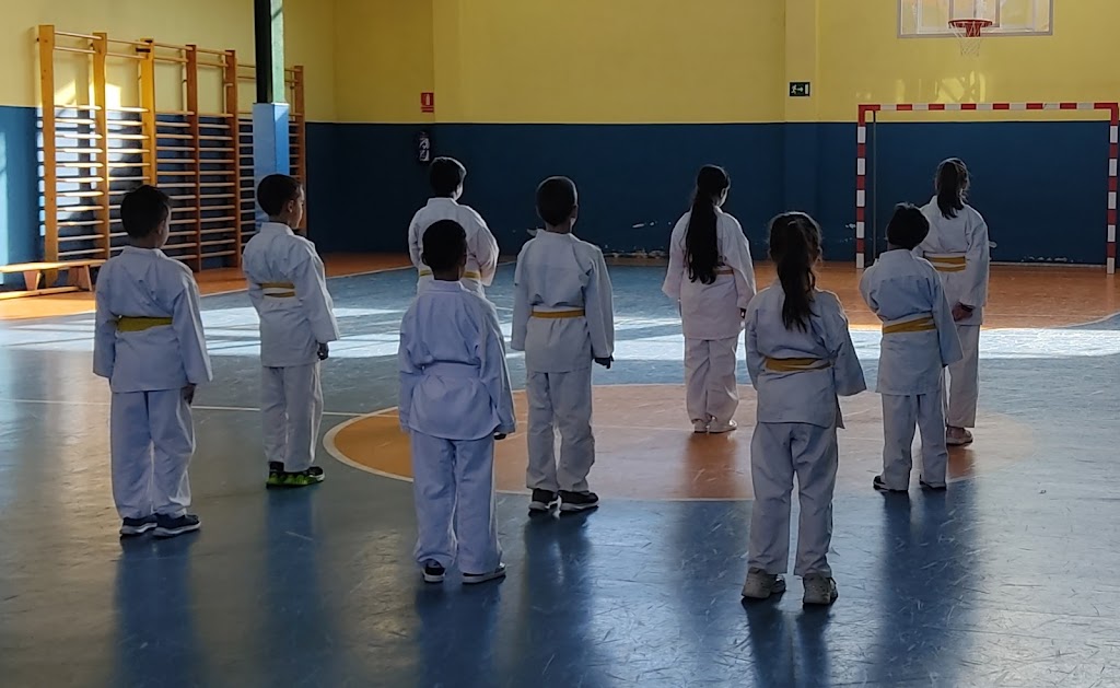 Shotokan Karate Benavente