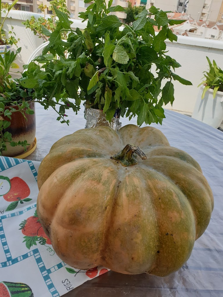 El Cremallera Pizza Kebab Olesa De Montserrat 931176226