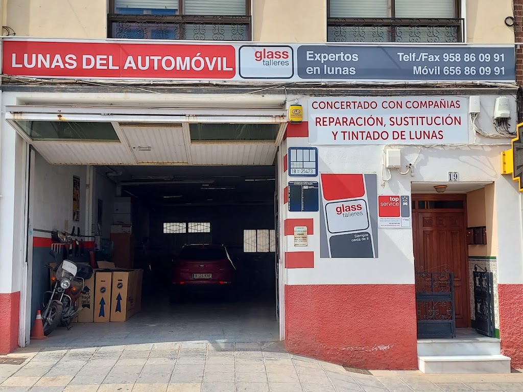 Lunas Del Automovil
