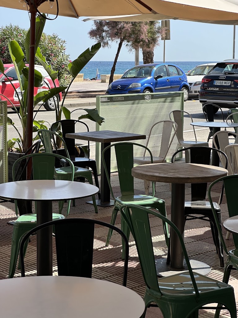 LA CONCHINCHINA BLANES — Ambiente