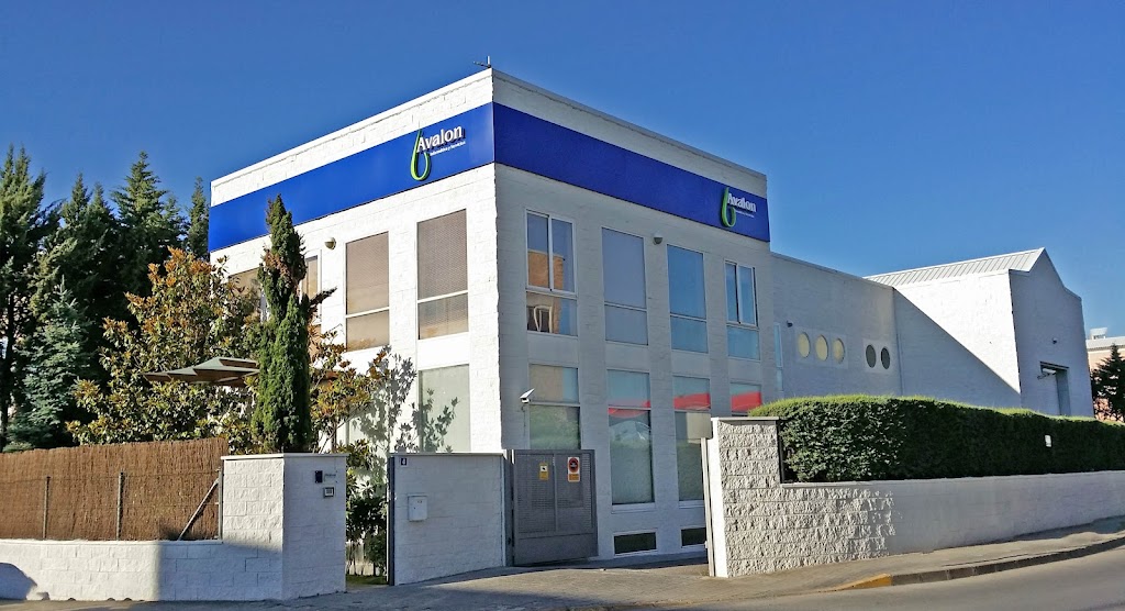 Avalon Informatica y Servicios, S.L.U.