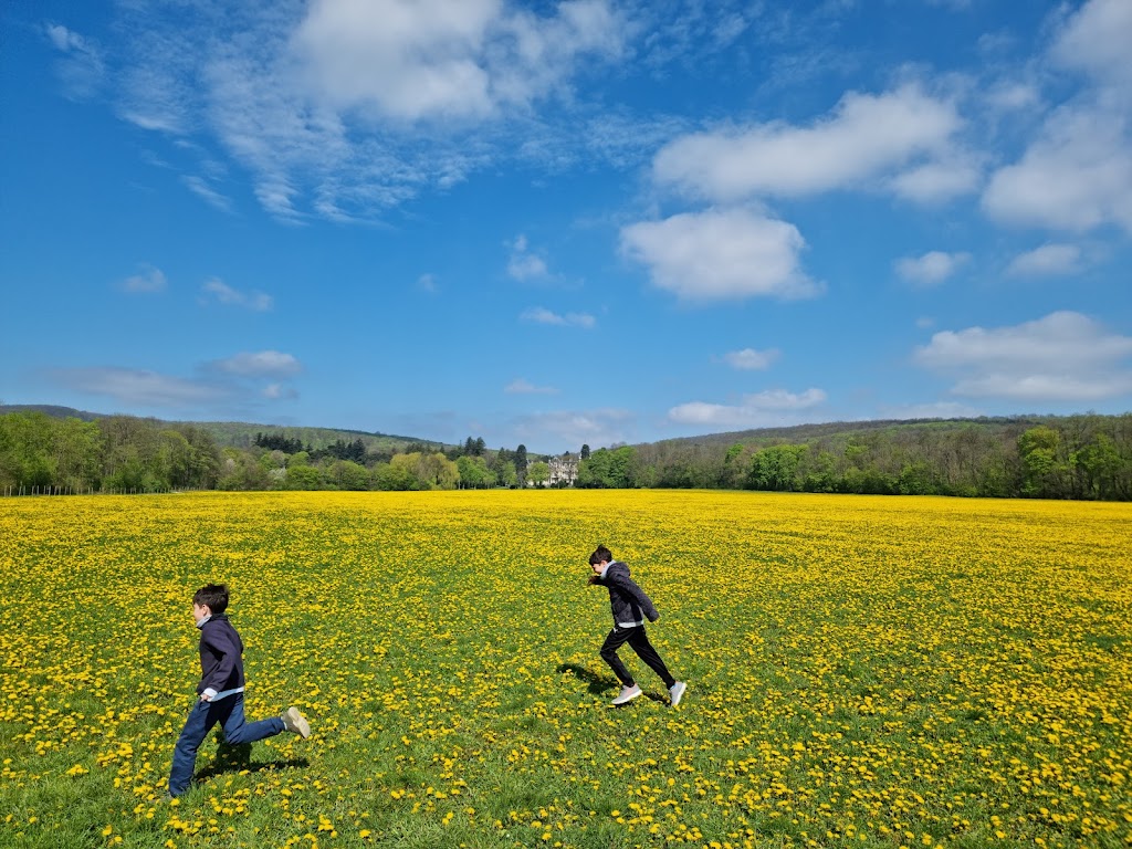 Traducciones juradas - Todos los idiomas
