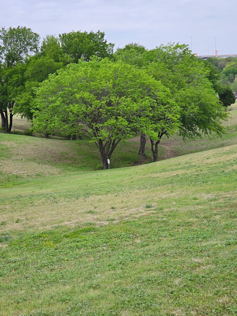 Hill Street Park