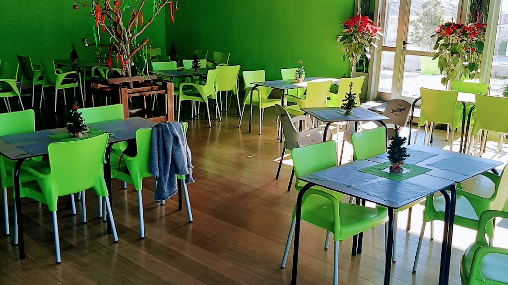 Datura Buffet — Ambiente