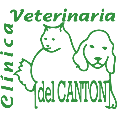 CLINICA VETERINARIA DEL CANTON — Del propietario