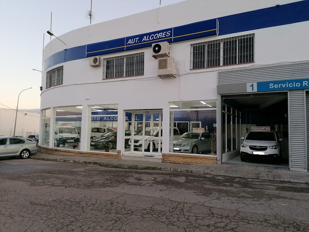 AUTO ALCORES MULTIMARCA S.L. — Todas