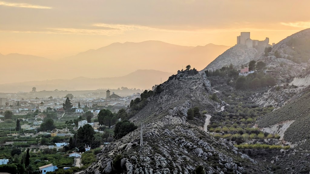 VIDA - Protectora Animal