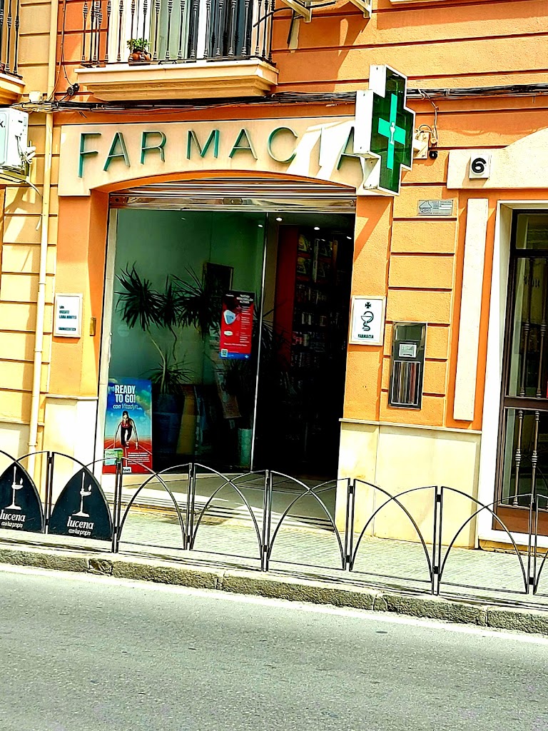 Farmacia Ldo. Vicente Lama Montes