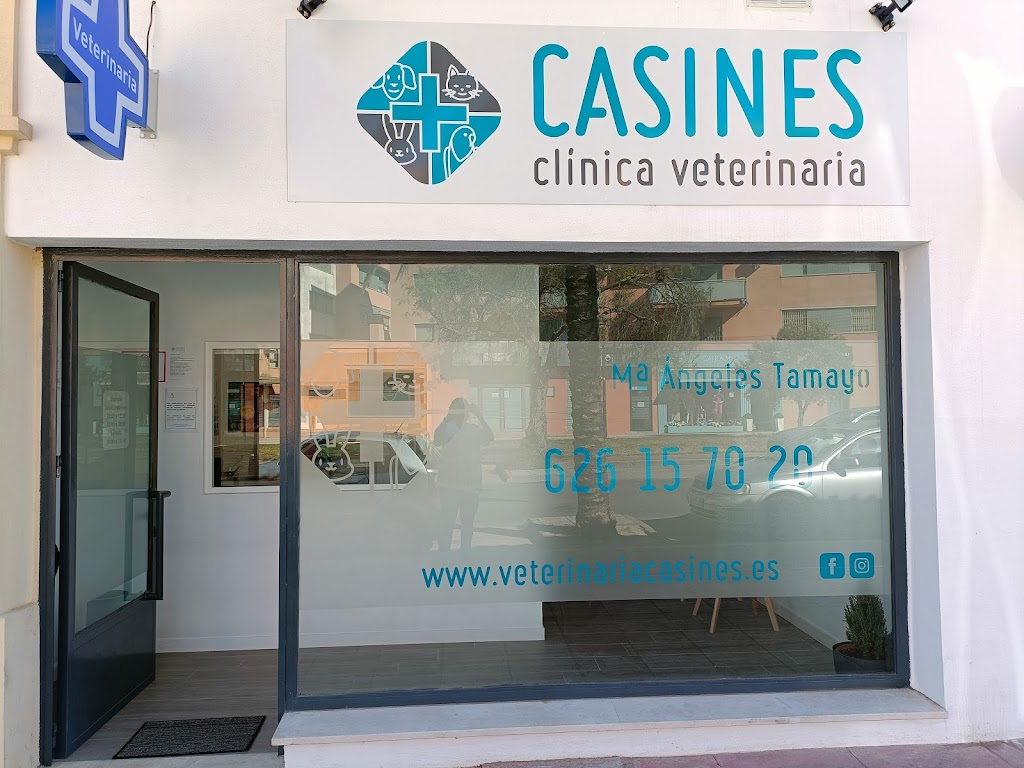 Clinica Veterinaria Casines