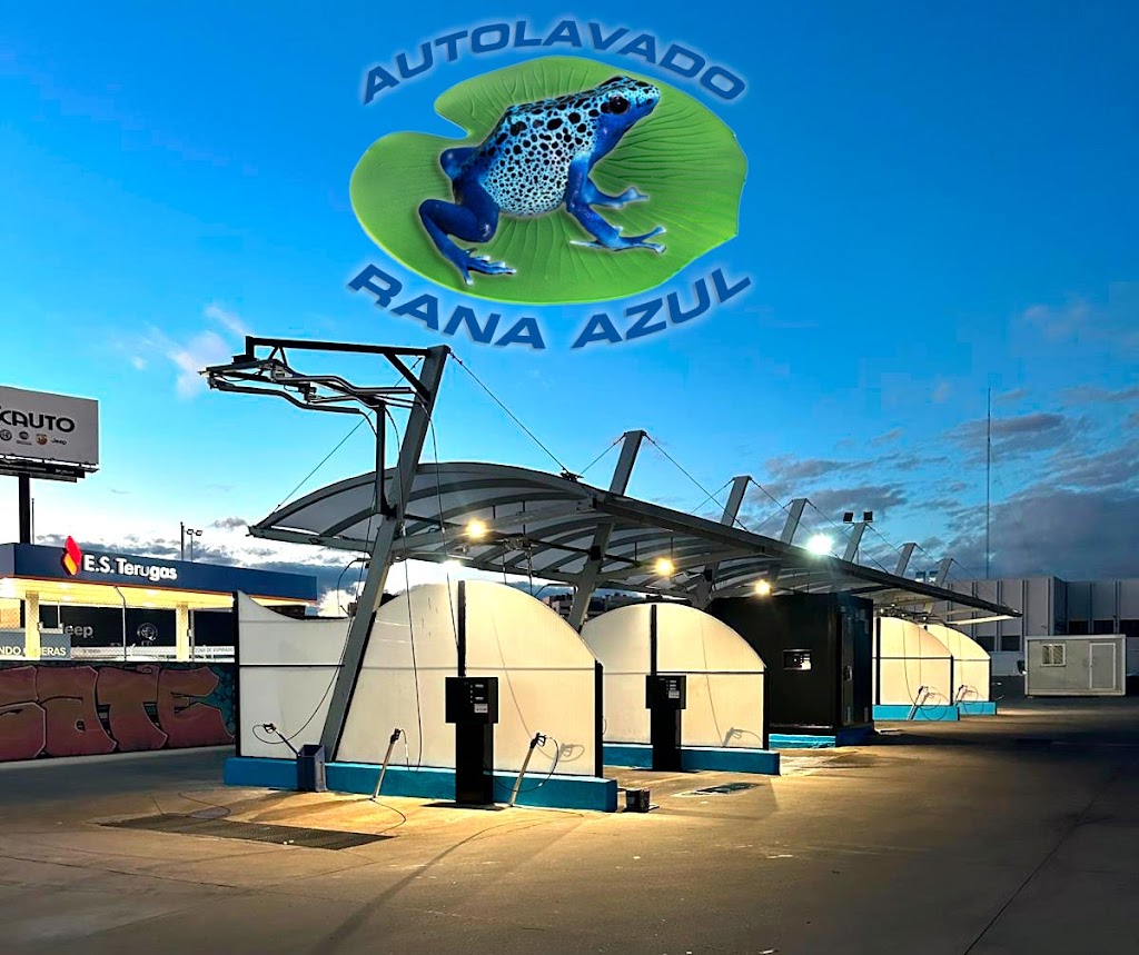 Autolavado Rana Azul