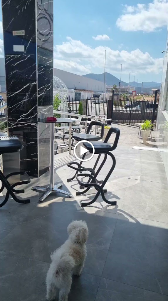 Restaurante Salon Diamante — Videos