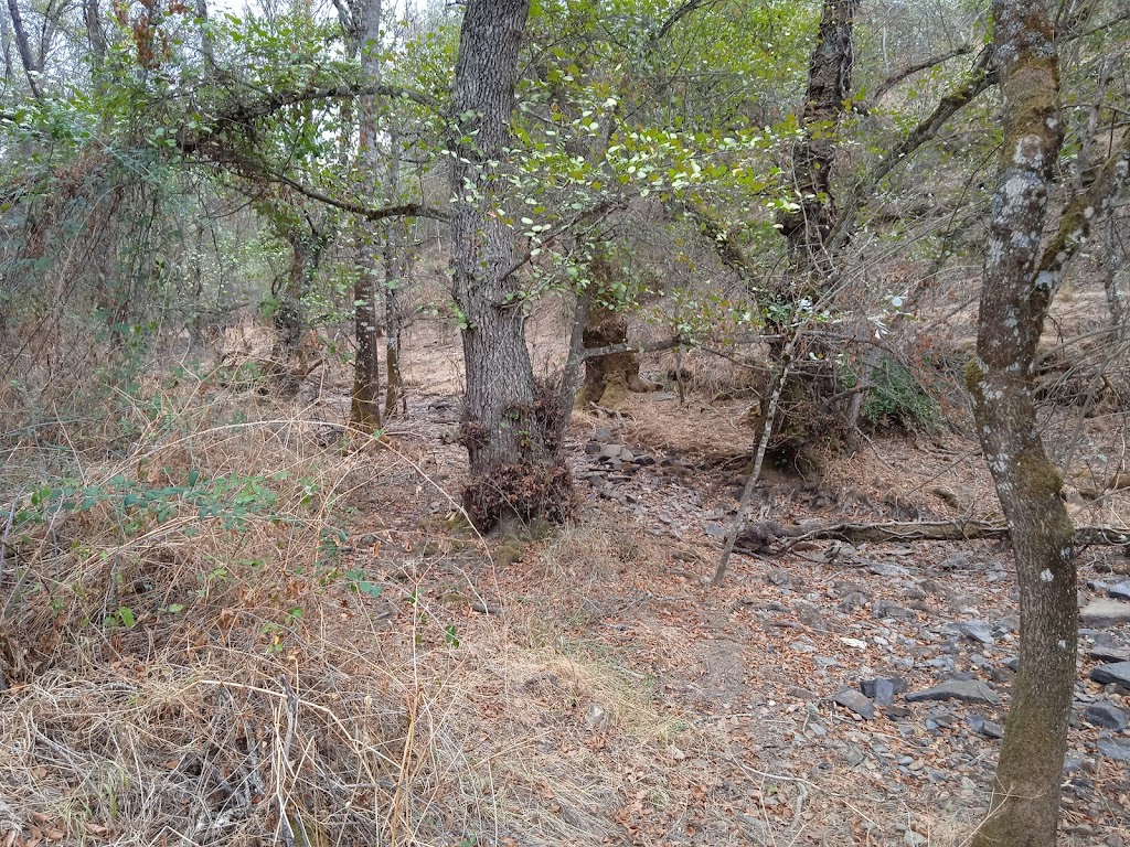 RUTA HACIA SANTA ELENA