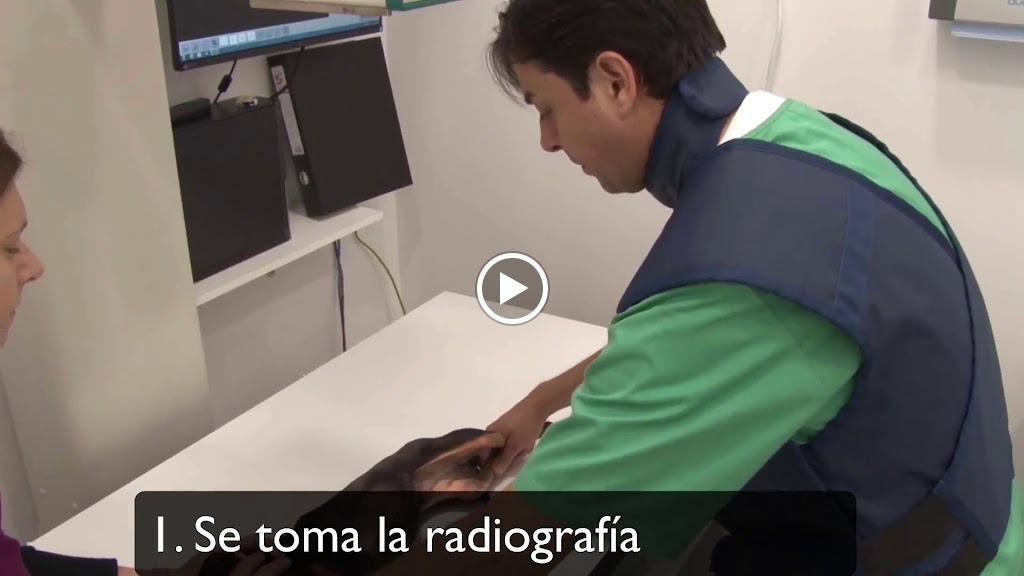 CLINICA VETERINARIA CORVET — Videos
