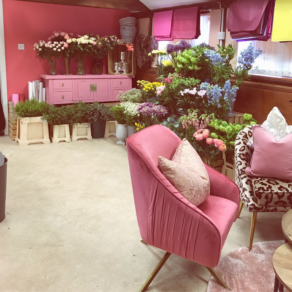 The Flamingo Box