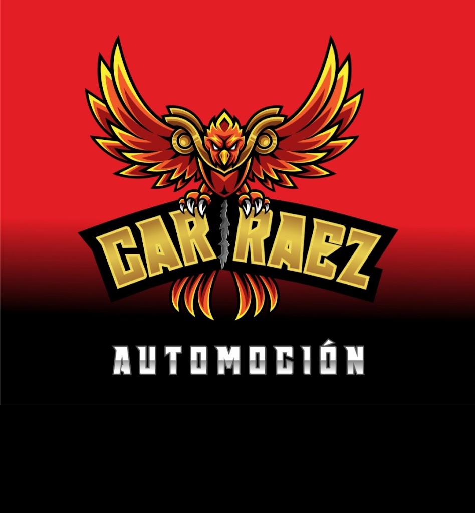 Car Raez Automocion — Del propietario