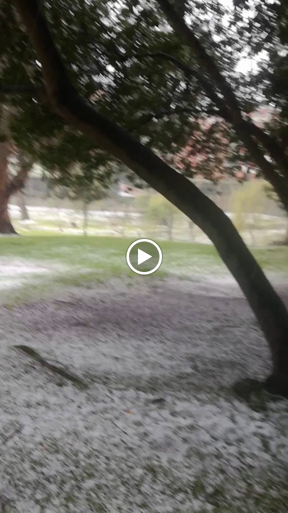 Talleres Corbanera — Videos