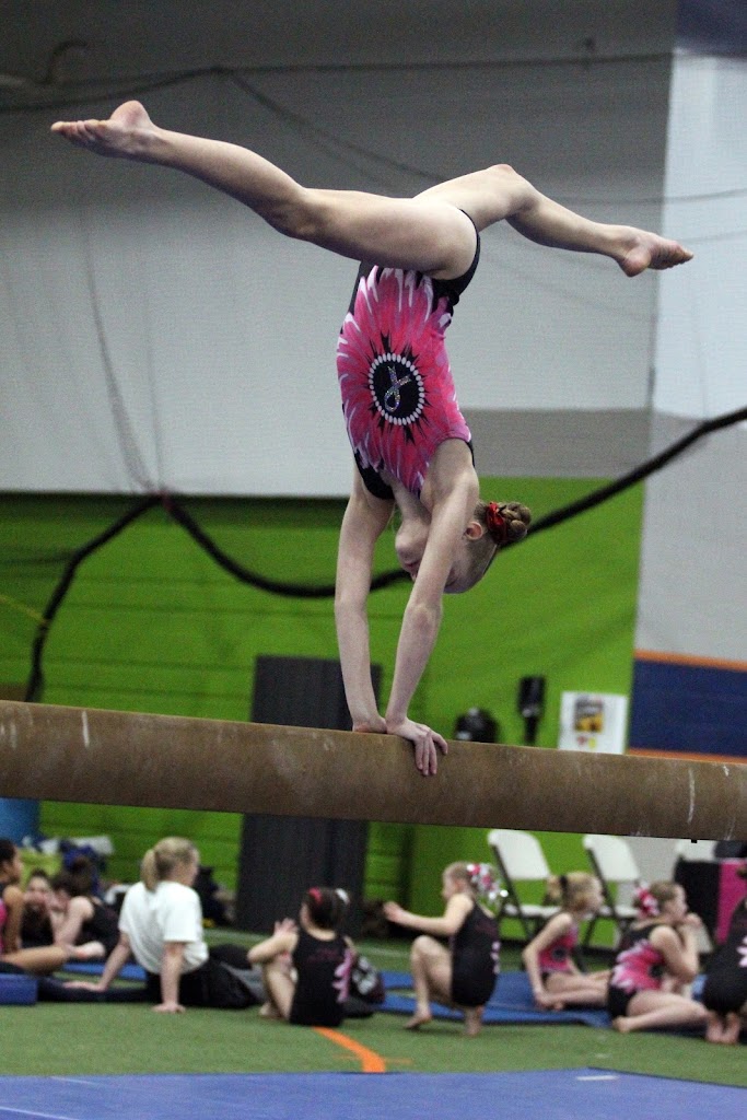  All American Gymnastics