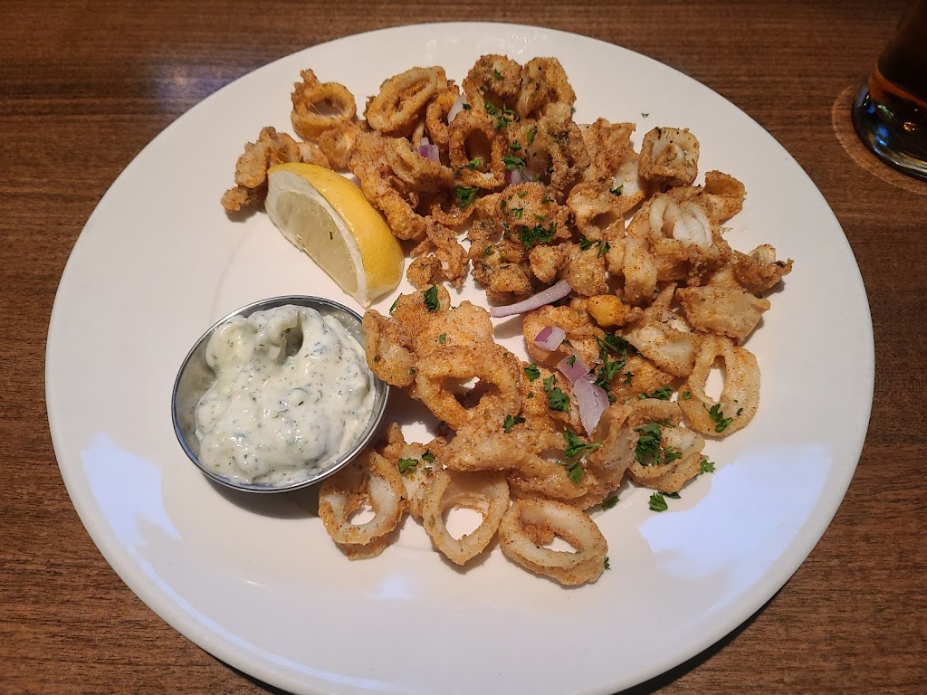 Squid