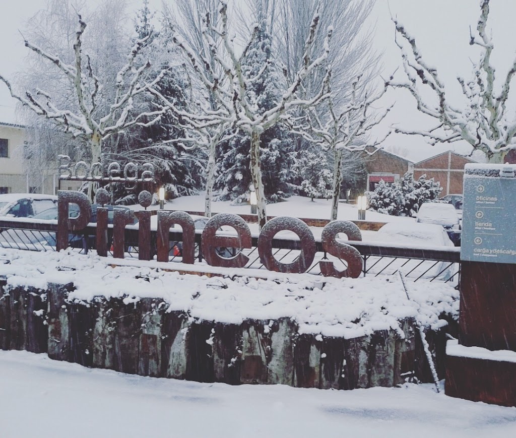 Bodega Pirineos, S.A.