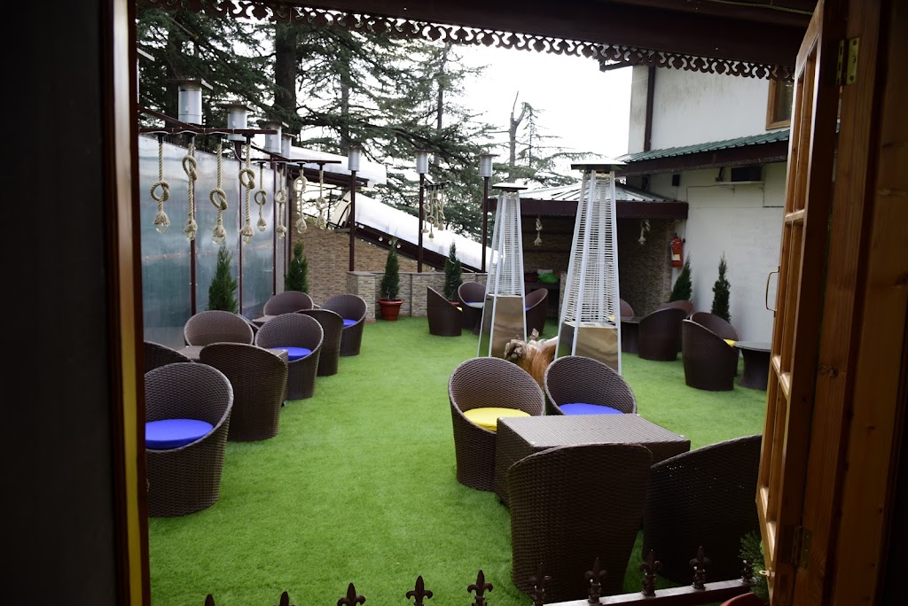 The Que Cafe Hookah Best Cafe In Shimla