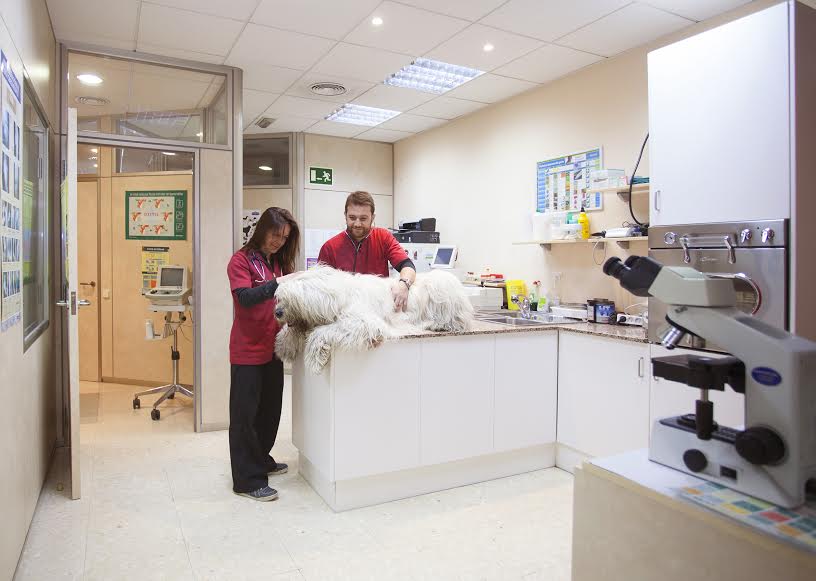 Nouclinic Veterinaris