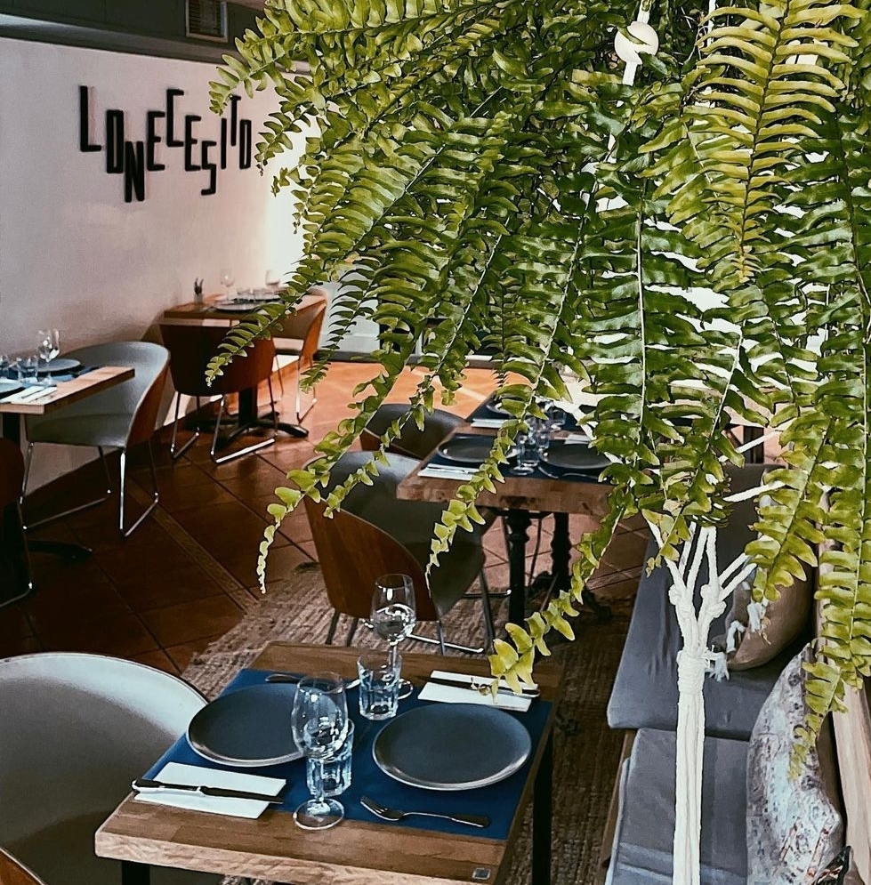 LONECESITO RESTAURANT