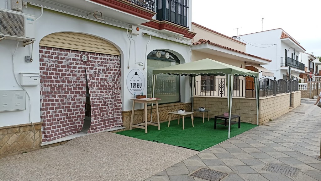 TRIBU - Espacio de aprendizaje