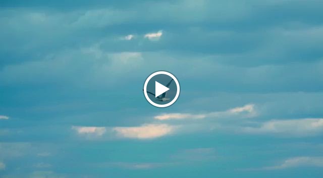 Cafe Jennifer Bar — Videos