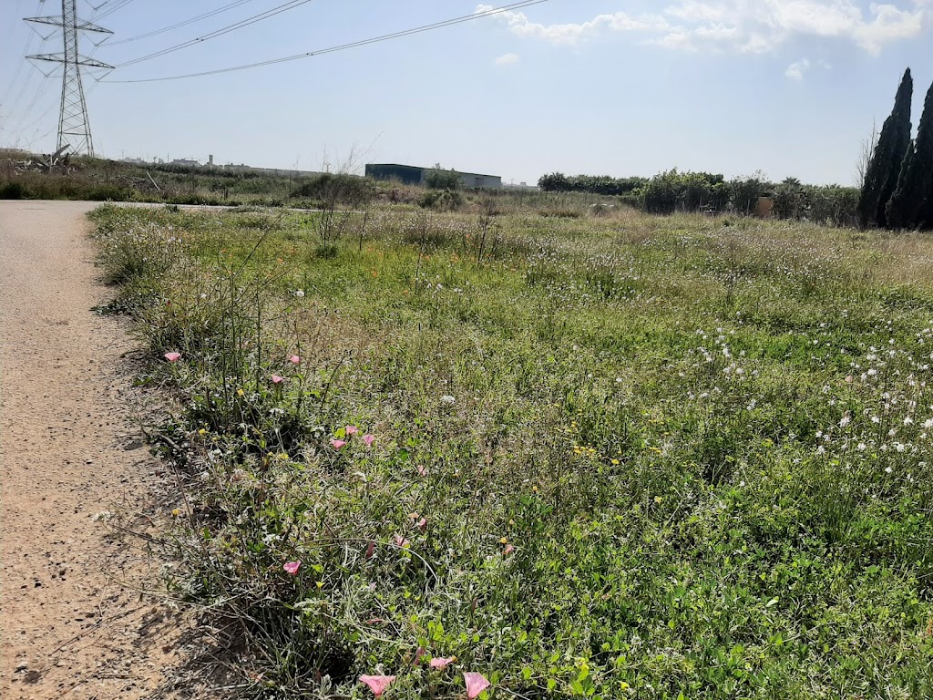 Huertos Urbanos Municipales de Paiporta